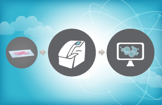 Slide Scanning & Hosting